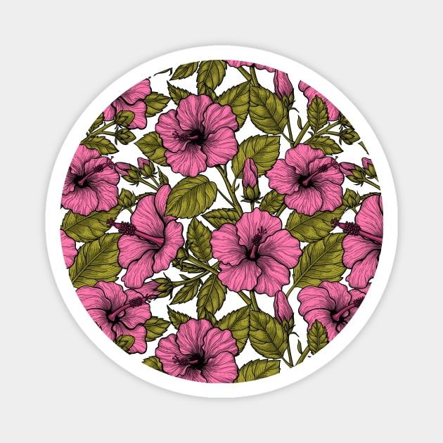 Pink hibiscus flowers Magnet by katerinamk